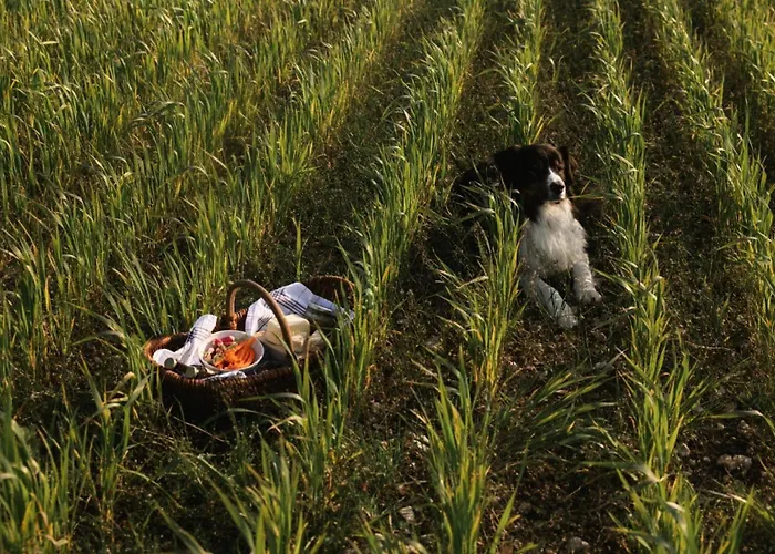 Vallee - Parcel Tiny House - Tiny House Au Coeur D'un Verger Proche Paris Et Verdun Mae-1263 Lodge *